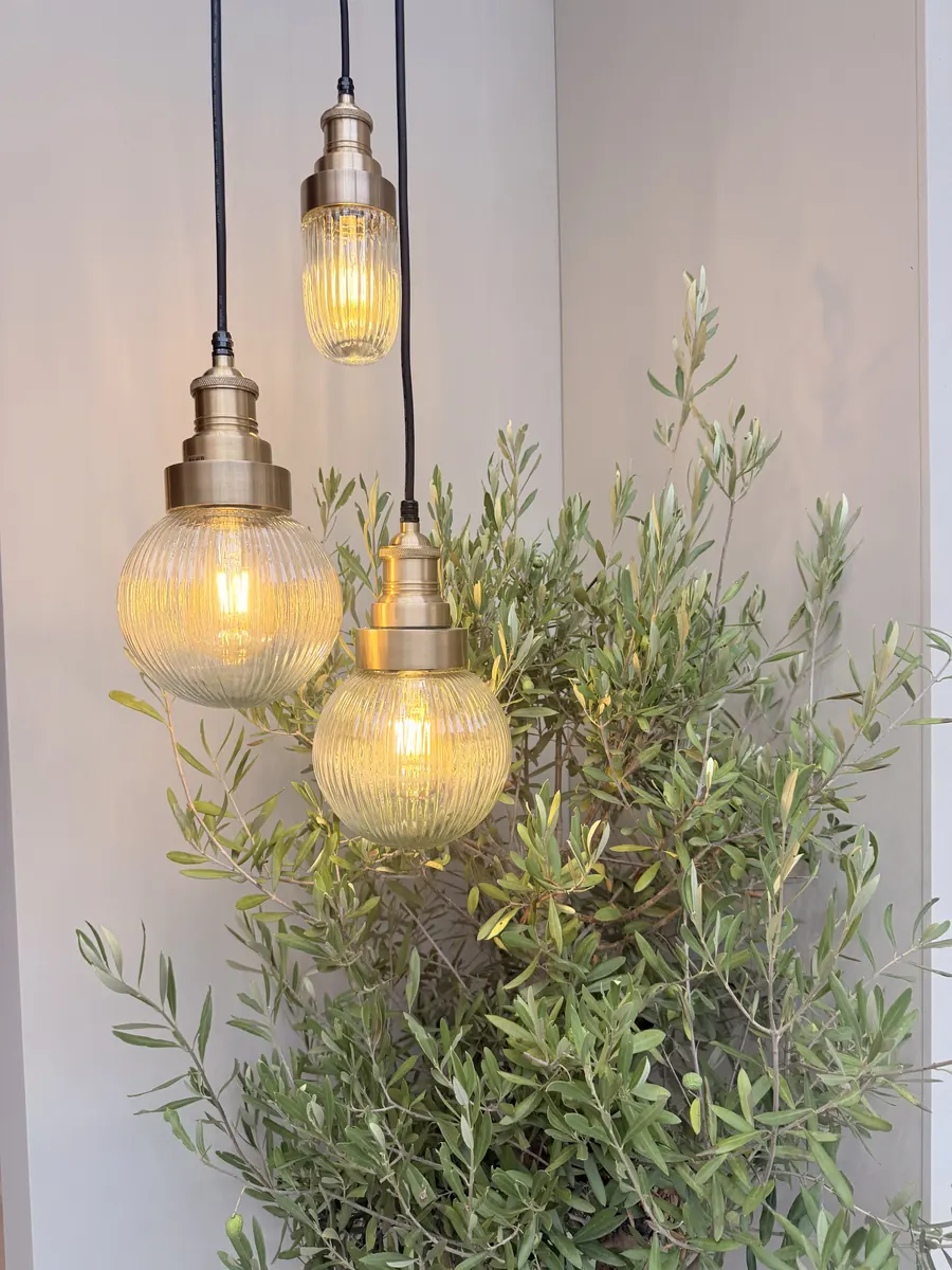 Three Industville ribbed glass globe pendant lights with brass fittings hanging beside an olive tree at Decorex 2026
